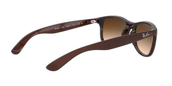 Rayban RB 4202 6073/13 55-17