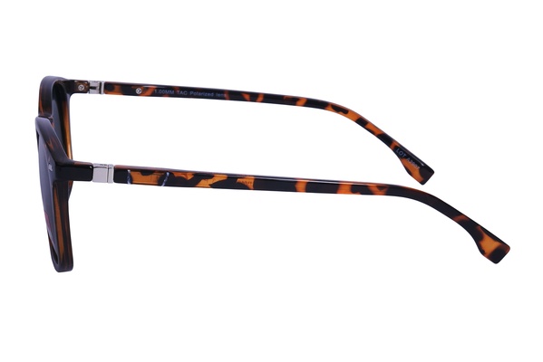Polarview PV 400 B