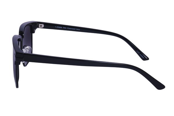 Polarview PV 310 A
