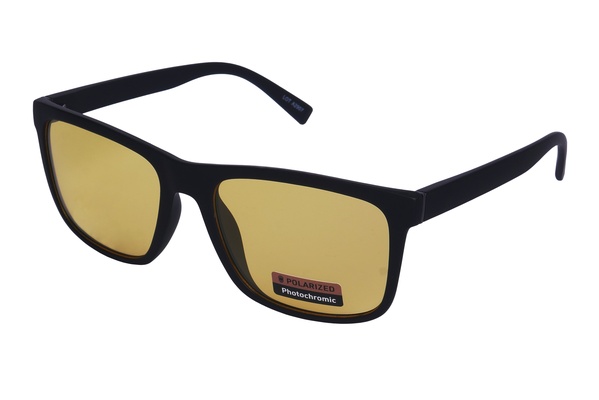 Polarview PV 610 D