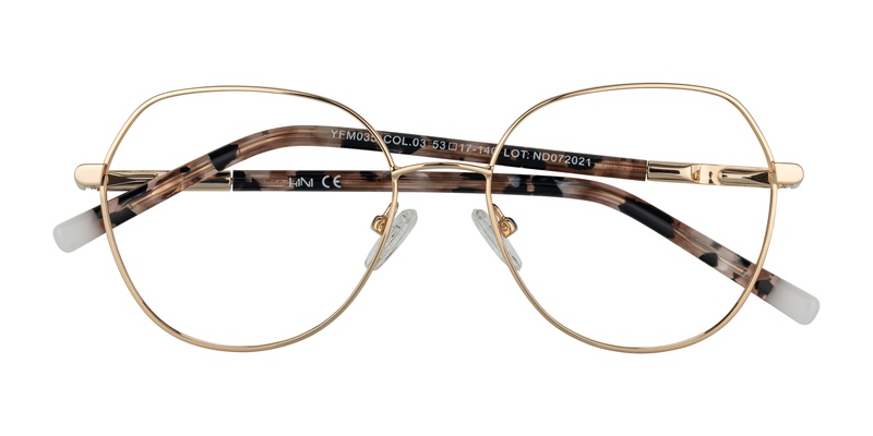 H1N1 YFM 035 03 53-17