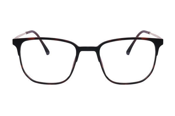 Vertice 951131 C2 53-19