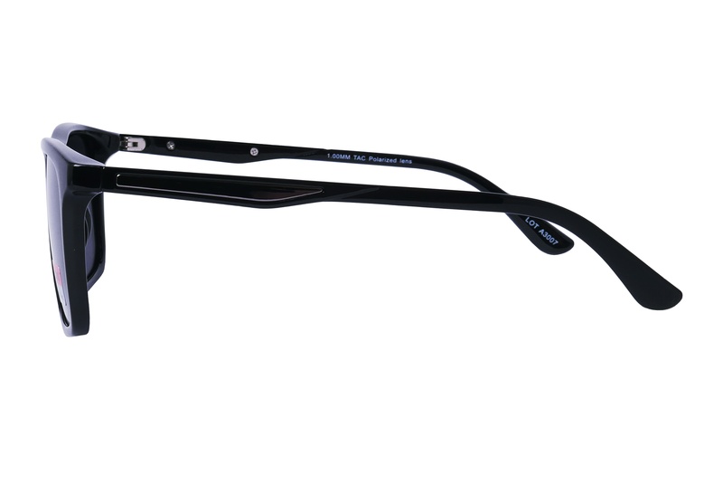 Polarview PV 606 B