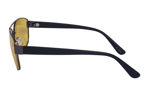 Polarview PV 520 D