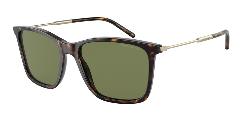 G.armani AR 8176 5026/2A 57-