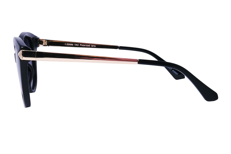 Polarview PV 850 A