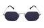 Polarview PV 110 A