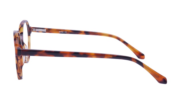 Icone 884302 C2 51-18