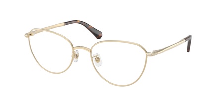 Swarovski SK 1029D 4013 54-19