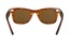 Rayban RB 2140 954 50-22