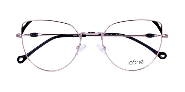 Icone STD 124 C3 53-17