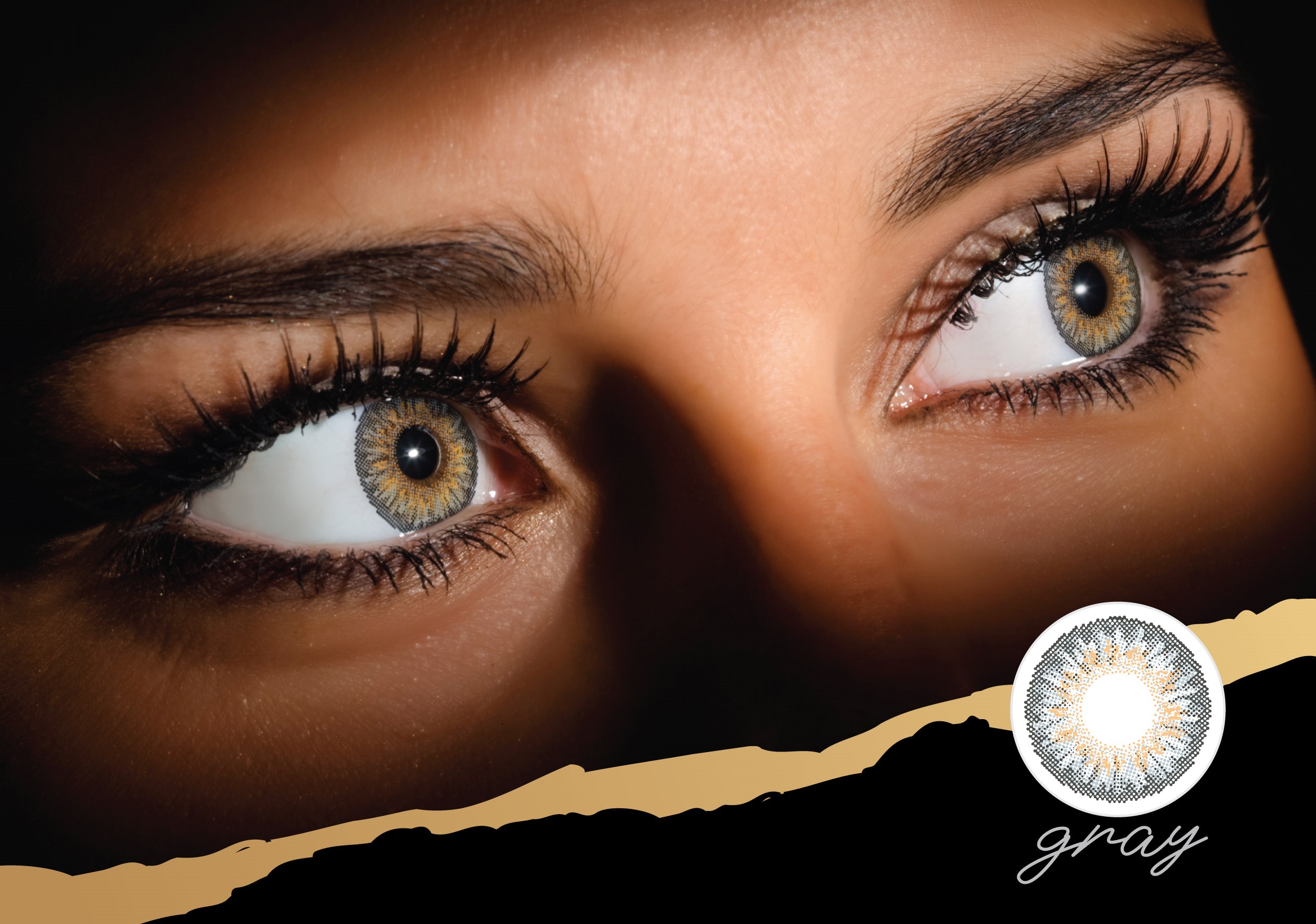 Coloured Contact Lenses Clearcolor 1day (Gray FL331) - Dr.Lensor